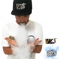 VV - Vape Van Mod - Cappellino Ricamato