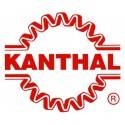 Kanthal 0,28 mm - 10 Metri