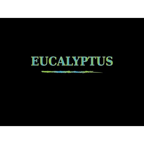 DEA - Eucalyptus - Aroma Concentrato 10ml DEA - Eucalyptus - Aroma Concentrato 10ml