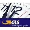 GLS - Consegna entro le 12:00