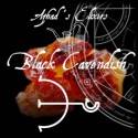 AZHAD'S - PURE Black Cavendish Aroma Concentrato